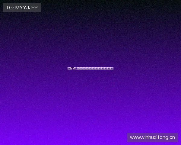 易倍EMC官网全新升级引领智能存储解决方案与企业数字化转型