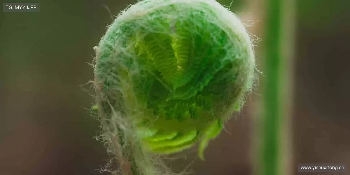 🔥燃爆现场，尖叫不停，下一个传奇就是你！